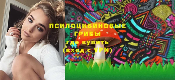 прущий лед Аркадак